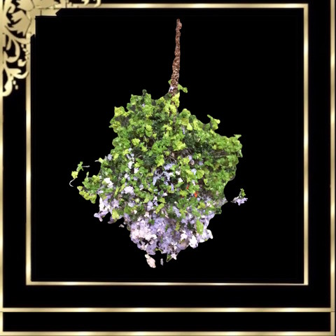 DCAHBS16 Hanging Basket Pink-Purple-White