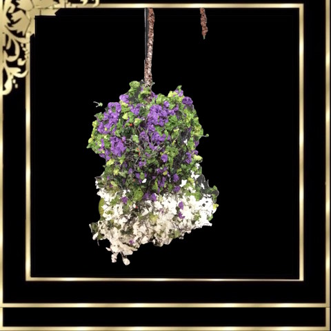 DCAHBS18 Hanging Plant Purple-White